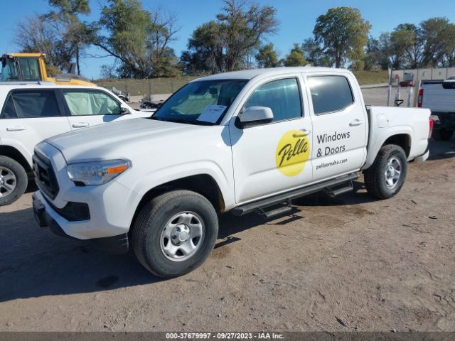 Photo 1 VIN: 3TMCZ5ANXMM412746 - TOYOTA TACOMA 