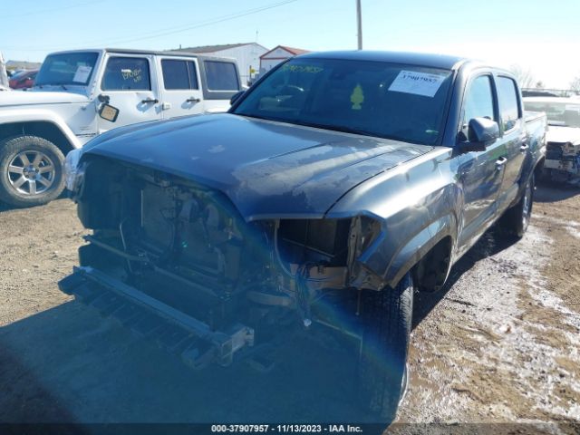 Photo 1 VIN: 3TMCZ5ANXNM484080 - TOYOTA TACOMA 