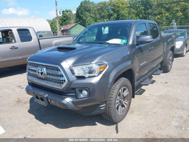 Photo 5 VIN: 3TMDZ5BN1GM009682 - TOYOTA TACOMA 