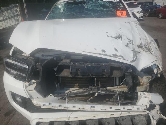 Photo 10 VIN: 3TMDZ5BN1PM167987 - TOYOTA TACOMA DOU 