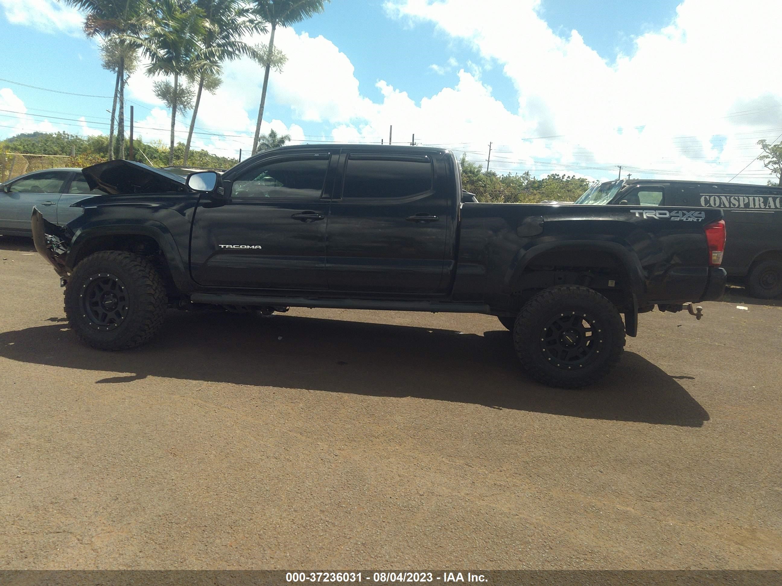 Photo 12 VIN: 3TMDZ5BN6GM011203 - TOYOTA TACOMA 