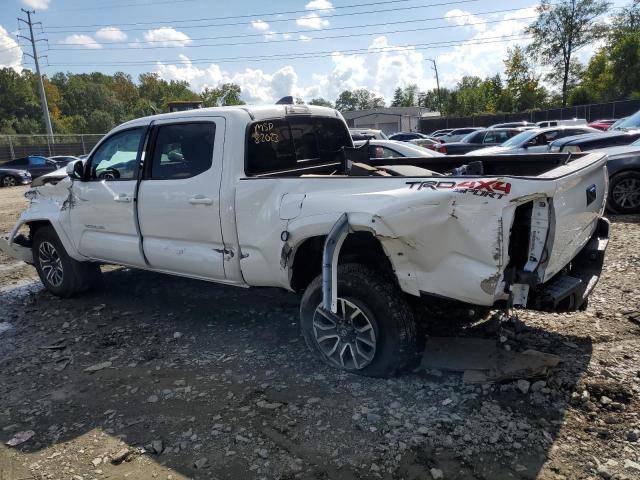 Photo 1 VIN: 3TMDZ5BN6PM145886 - TOYOTA TACOMA 