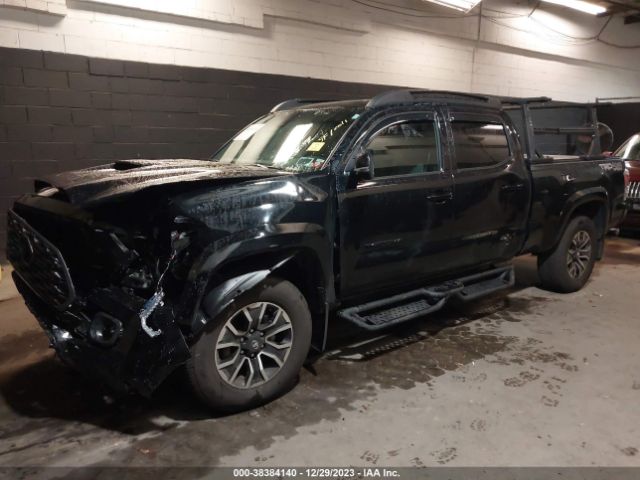 Photo 5 VIN: 3TMDZ5BN7PM151454 - TOYOTA TACOMA 