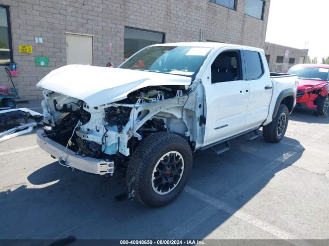 Photo 1 VIN: 3TMLB5JN5RM007664 - TOYOTA TACOMA 