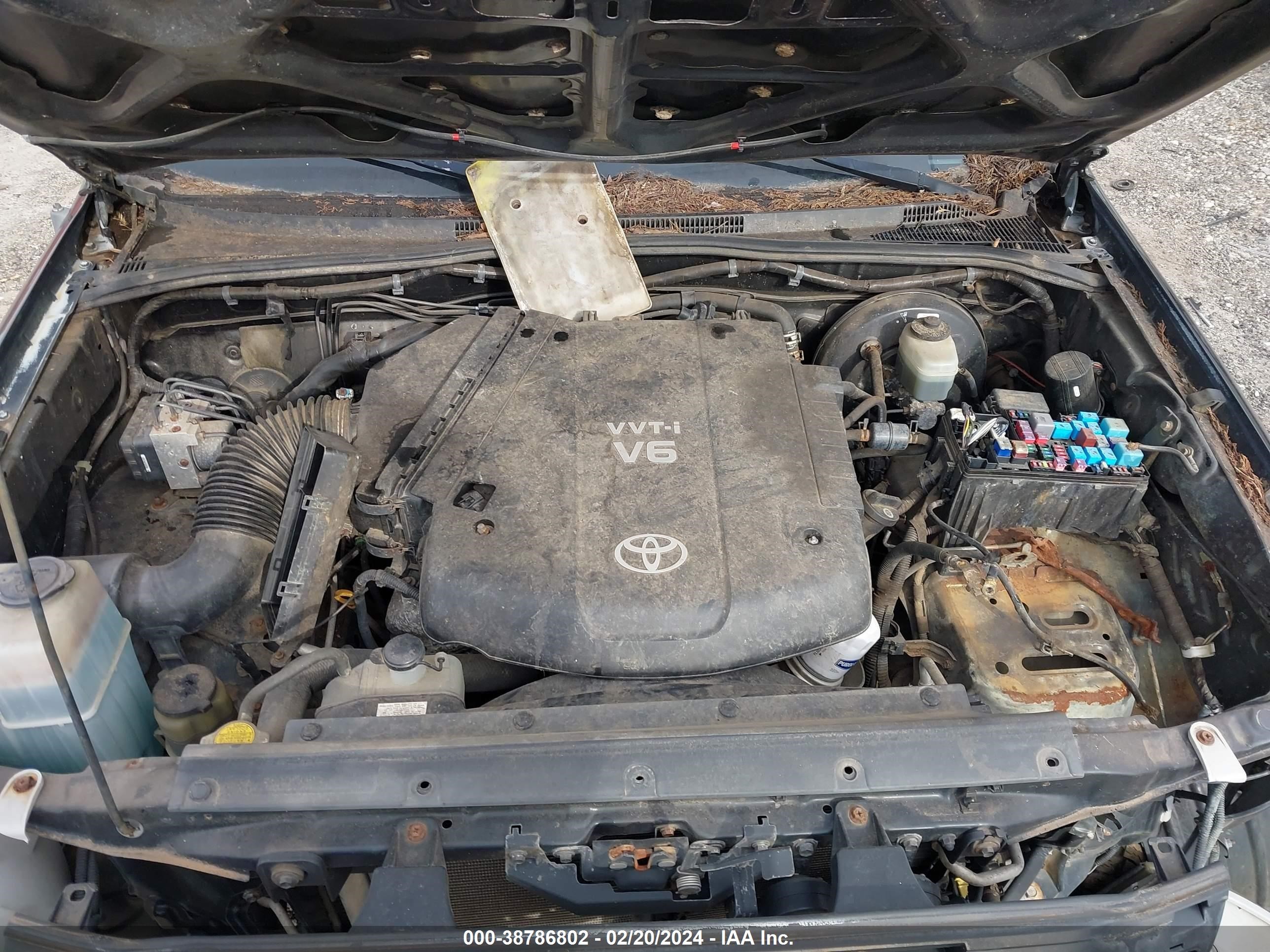 Photo 9 VIN: 3TMLU42N26M007717 - TOYOTA TACOMA 