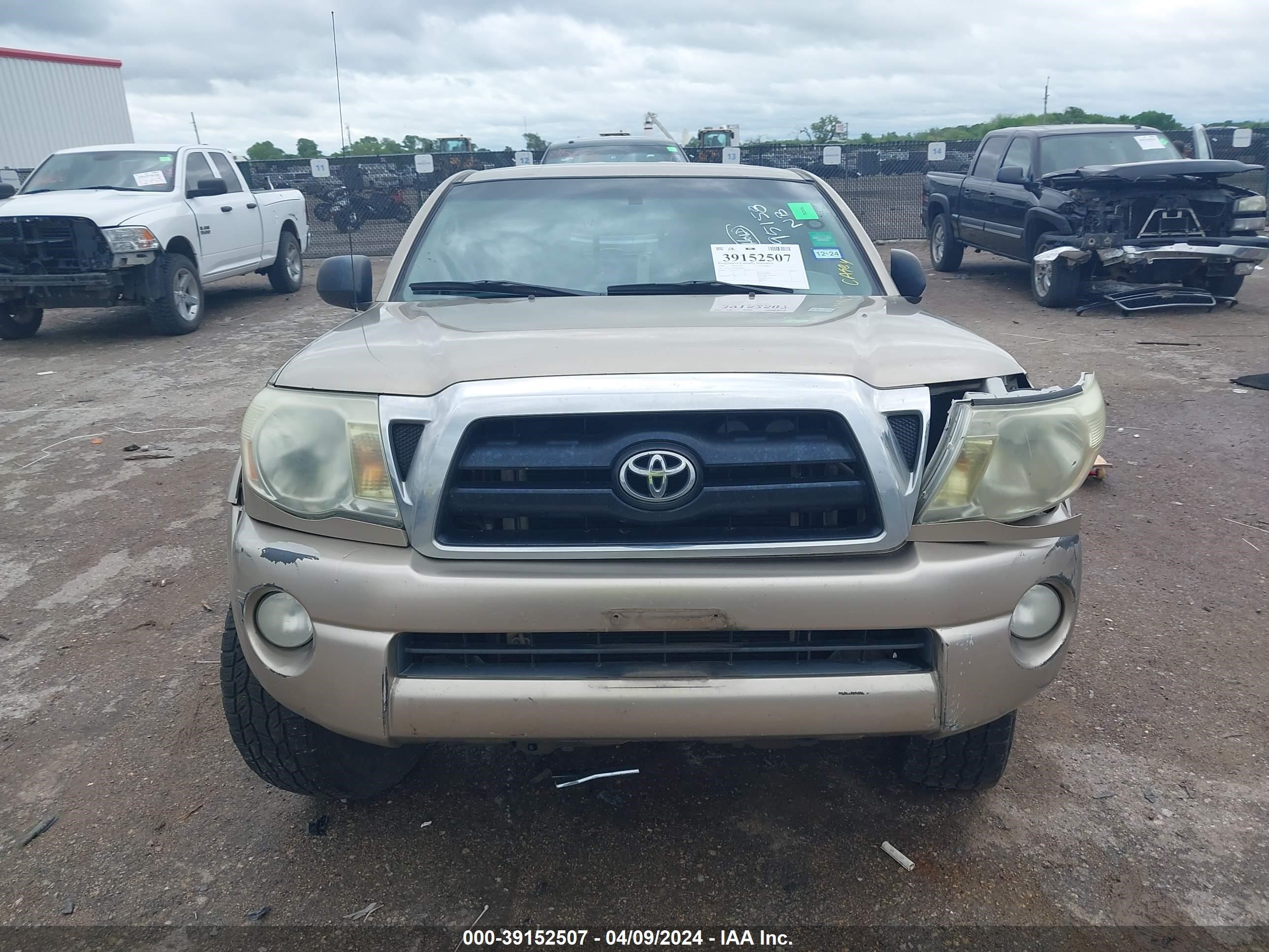 Photo 11 VIN: 3TMLU42N78M018974 - TOYOTA TACOMA 