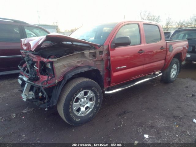 Photo 1 VIN: 3TMLU4EN0AM054703 - TOYOTA TACOMA 