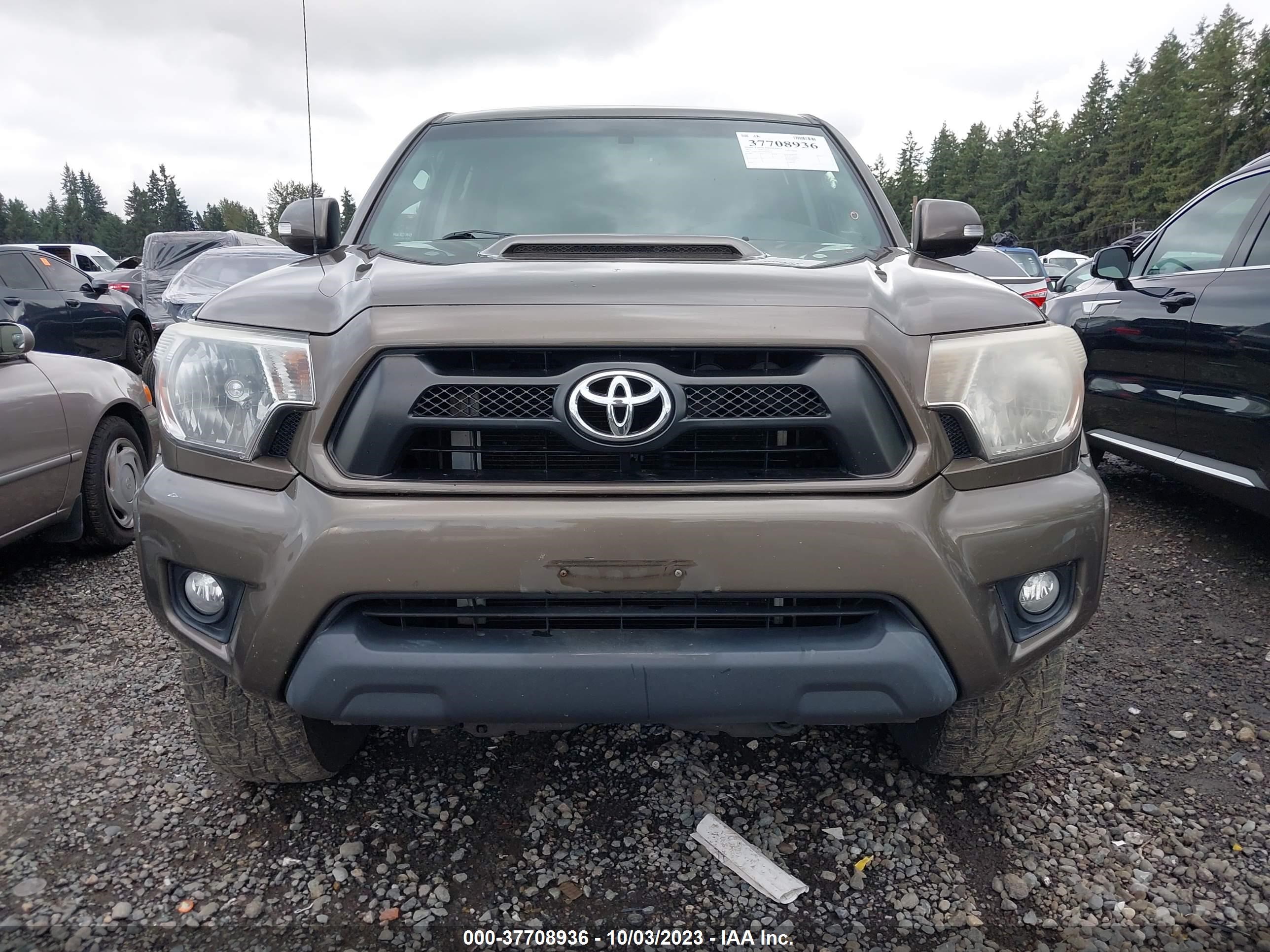 Photo 11 VIN: 3TMLU4EN2DM104165 - TOYOTA TACOMA 