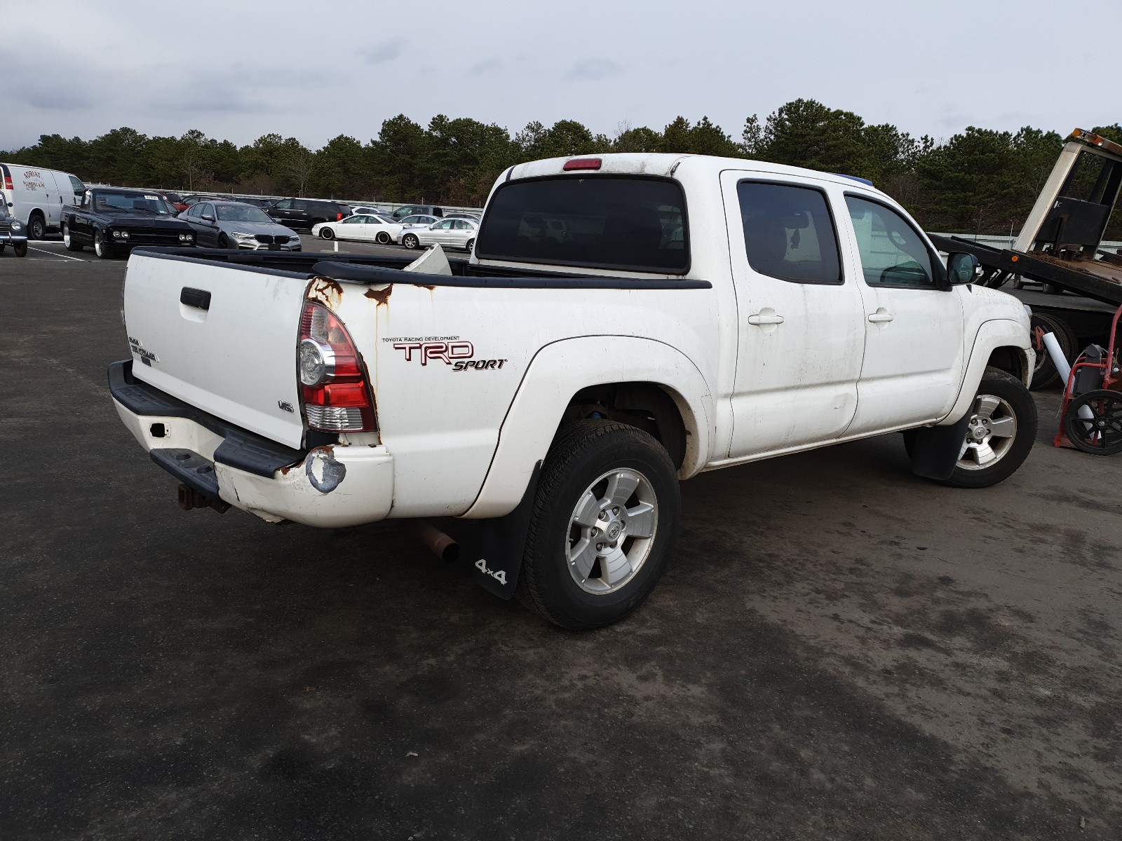 Photo 3 VIN: 3TMLU4EN7DM117056 - TOYOTA TACOMA 