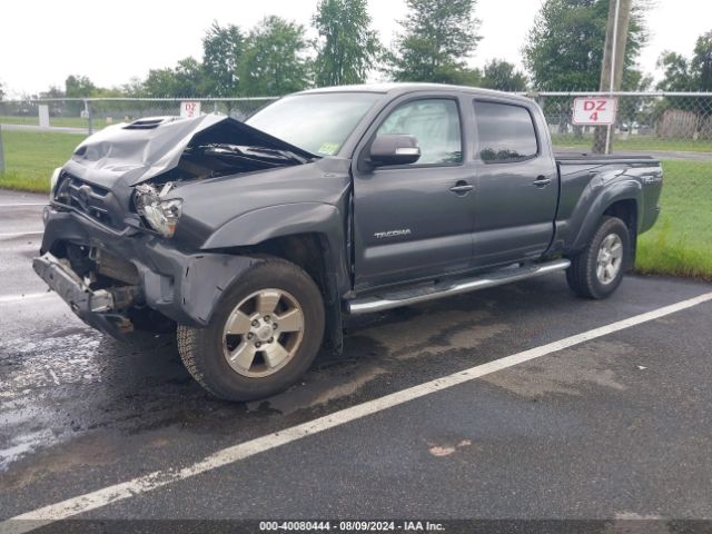 Photo 1 VIN: 3TMMU4FN4FM073667 - TOYOTA TACOMA 