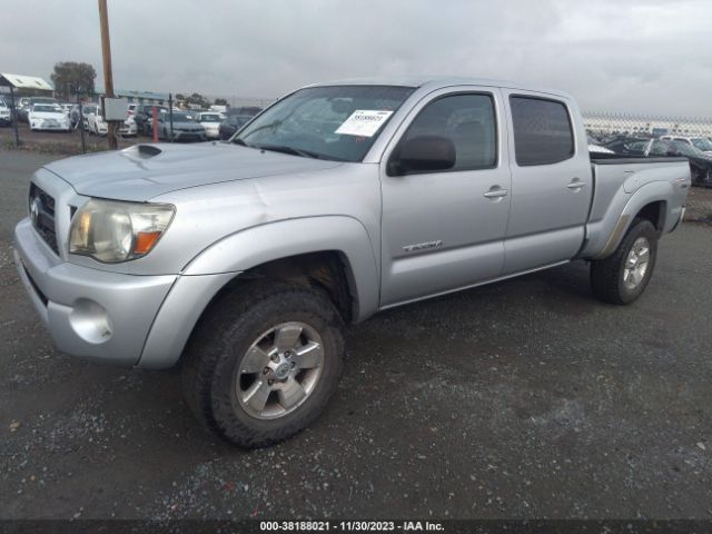 Photo 1 VIN: 3TMMU4FNXBM035175 - TOYOTA TACOMA 