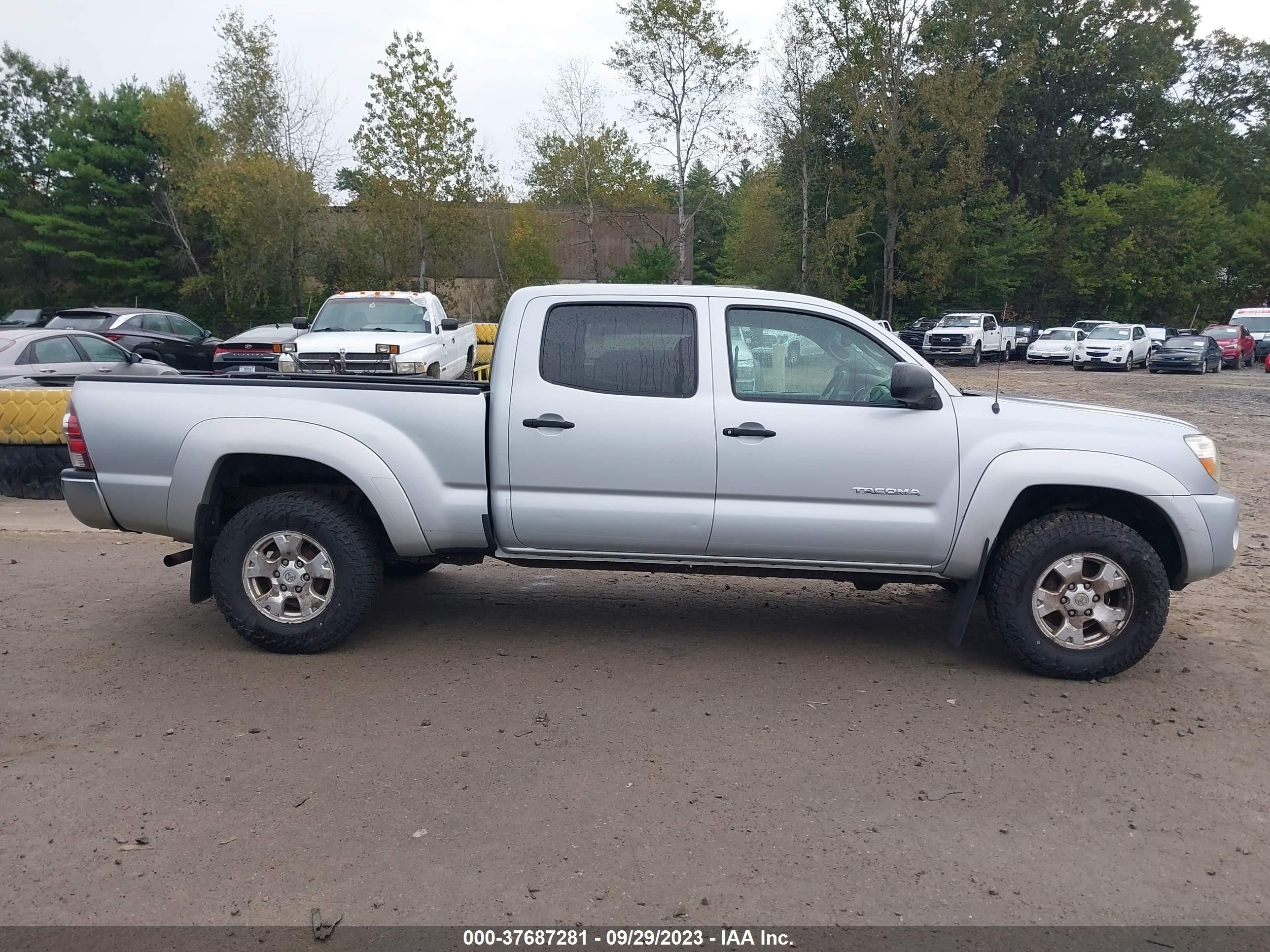 Photo 12 VIN: 3TMMU52N69M009291 - TOYOTA TACOMA 