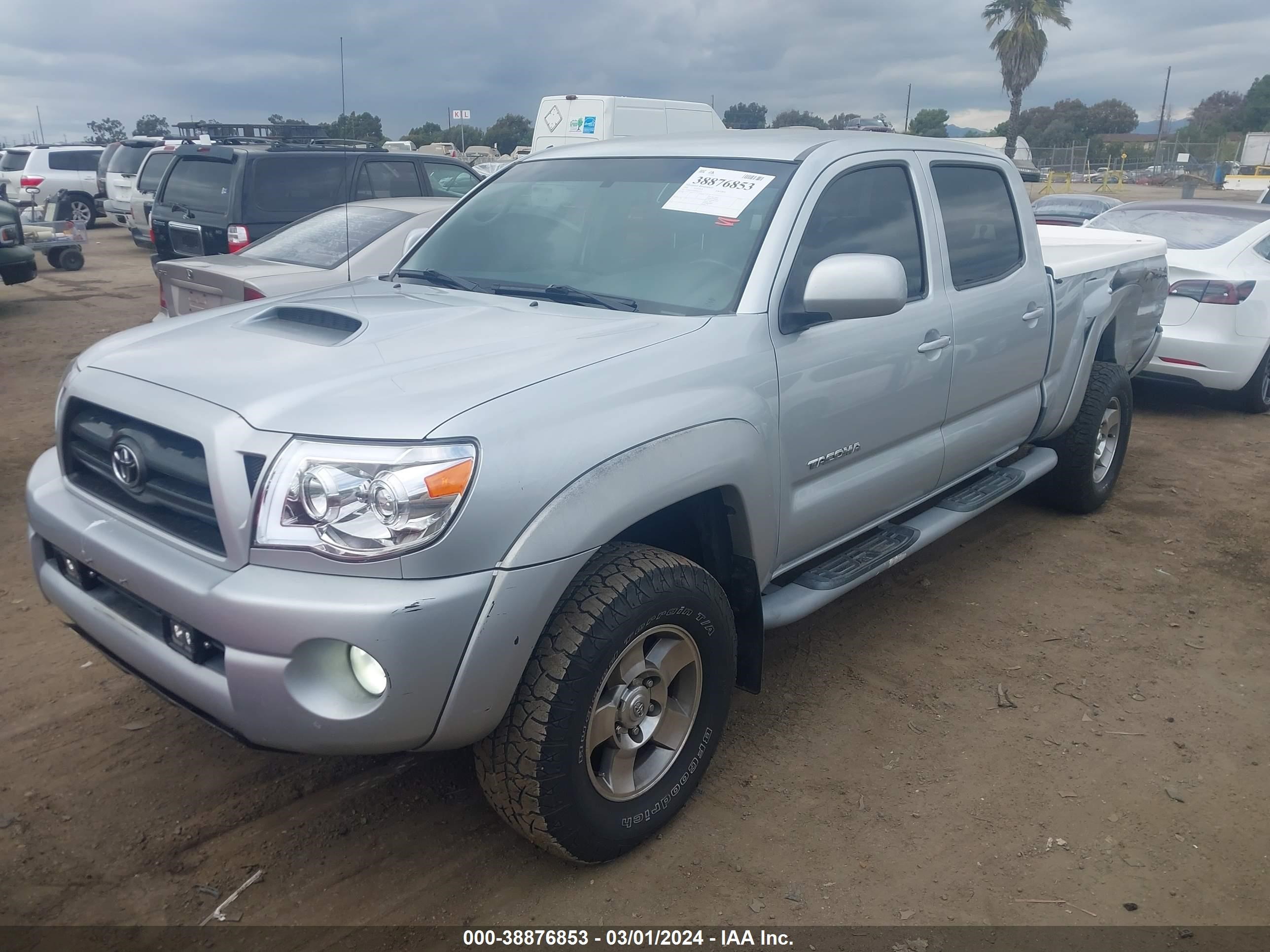 Photo 1 VIN: 3TMMU52N86M003505 - TOYOTA TACOMA 