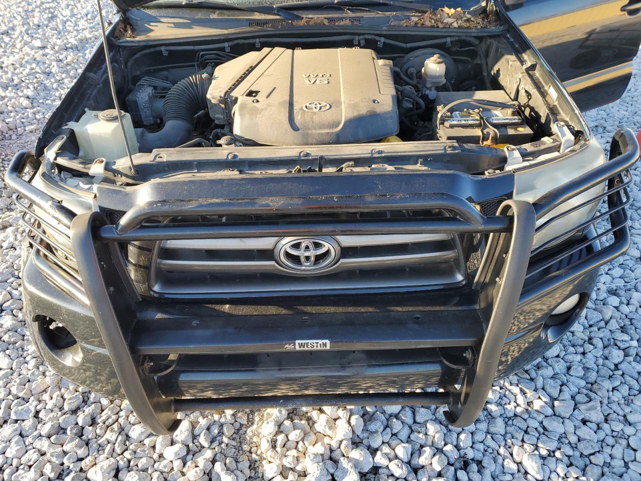 Photo 10 VIN: 3TMMU52N99M011617 - TOYOTA TACOMA 