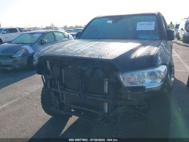 Photo 5 VIN: 3TYCZ5AN0MT019603 - TOYOTA TACOMA 