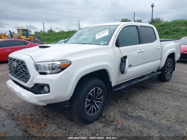 Photo 1 VIN: 3TYCZ5AN1MT026558 - TOYOTA TACOMA 