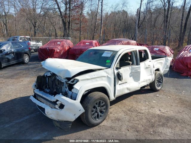 Photo 5 VIN: 3TYCZ5AN1PT146946 - TOYOTA TACOMA 4WD 