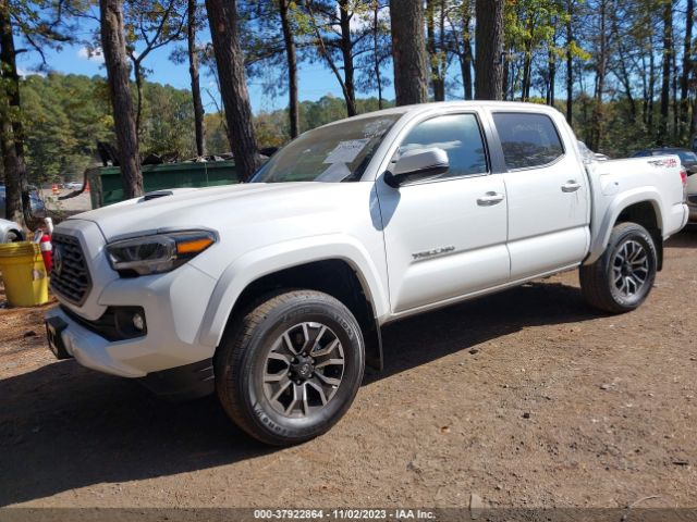 Photo 1 VIN: 3TYCZ5AN1PT161480 - TOYOTA TACOMA 