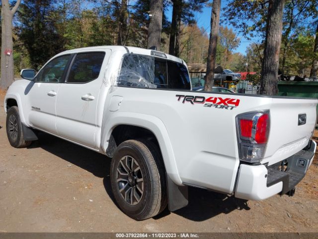 Photo 2 VIN: 3TYCZ5AN1PT161480 - TOYOTA TACOMA 