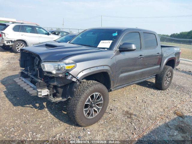 Photo 1 VIN: 3TYCZ5AN5LT007087 - TOYOTA TACOMA 