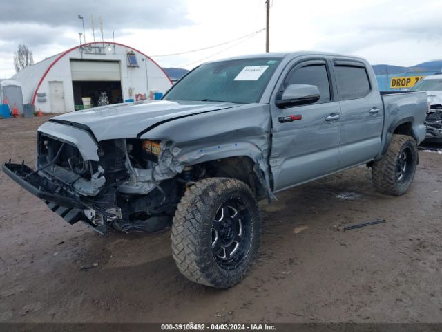 Photo 1 VIN: 3TYCZ5AN5MT023288 - TOYOTA TACOMA 