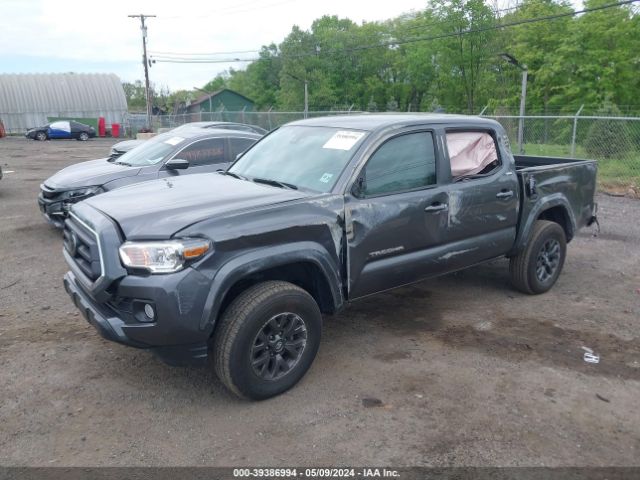 Photo 1 VIN: 3TYCZ5AN8PT116908 - TOYOTA TACOMA 