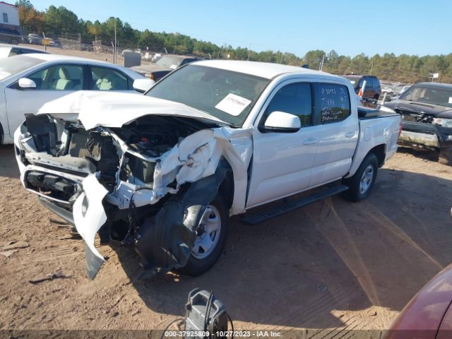 Photo 1 VIN: 3TYCZ5AN9MT049912 - TOYOTA TACOMA 