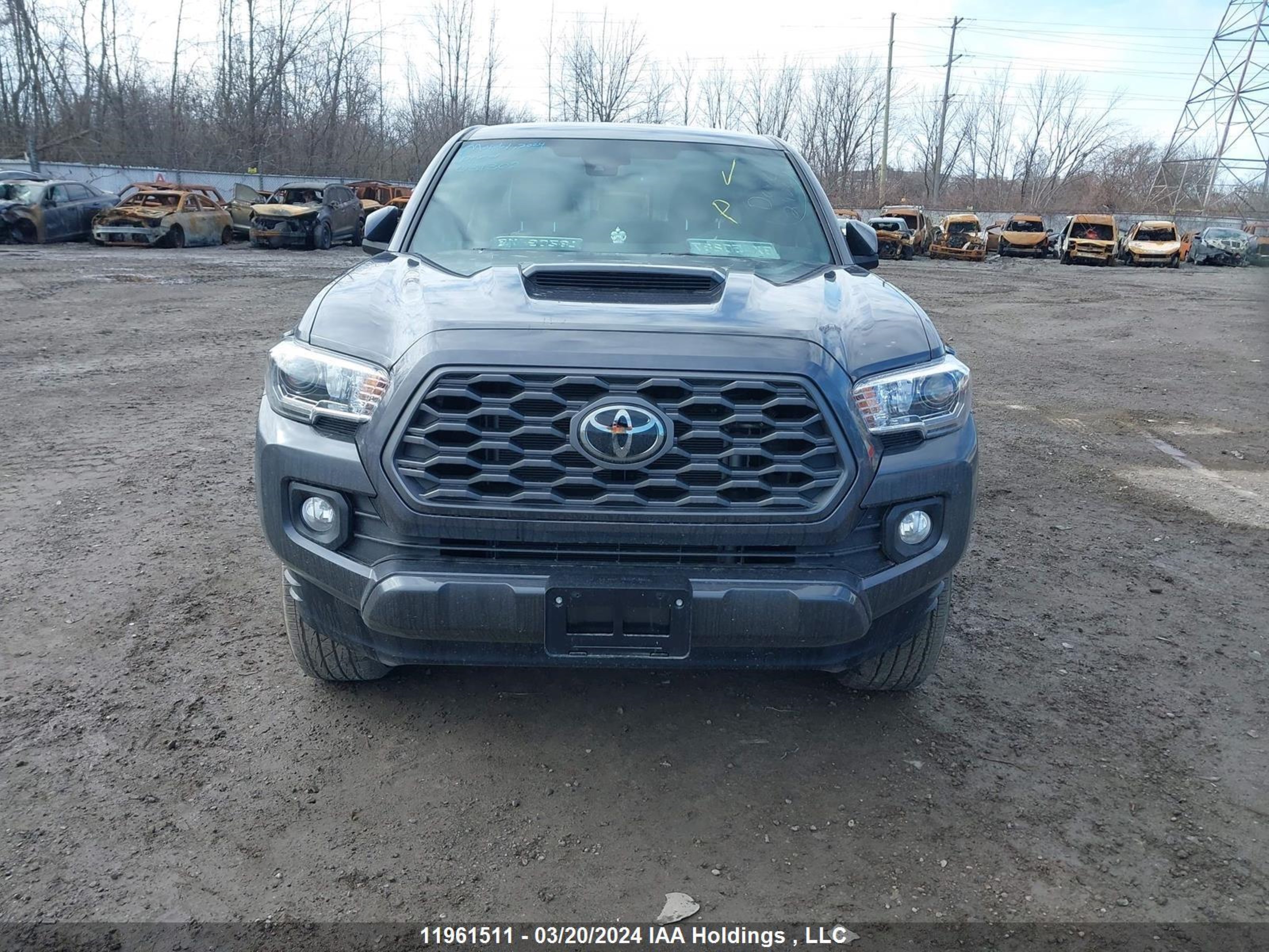 Photo 11 VIN: 3TYDZ5BN3PT031302 - TOYOTA TACOMA 