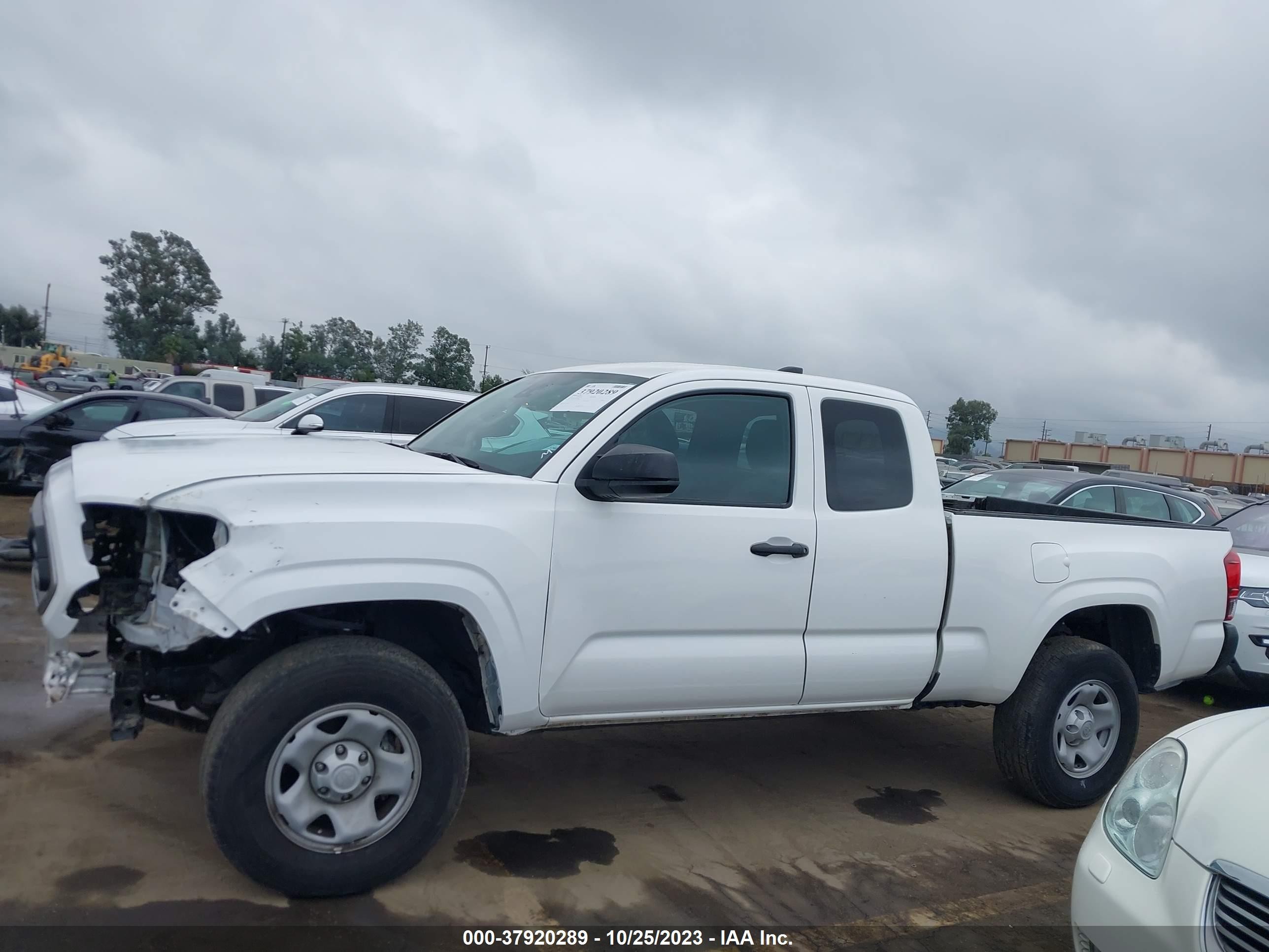 Photo 13 VIN: 3TYRX5GN5NT058079 - TOYOTA TACOMA 