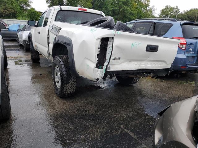 Photo 1 VIN: 3TYSX5ENXLT001412 - TOYOTA TACOMA ACC 