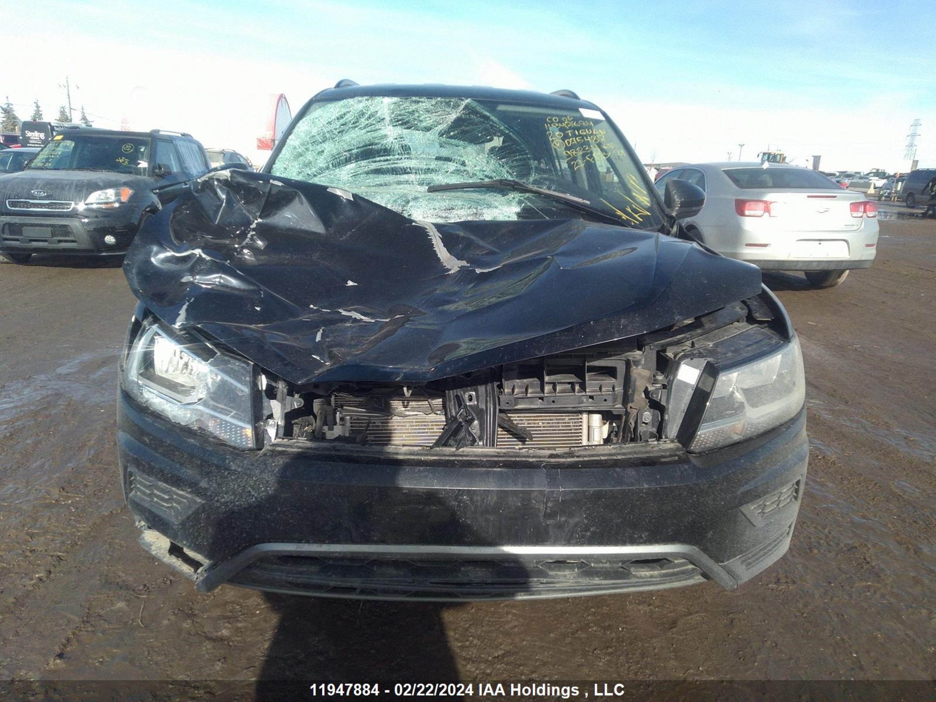 Photo 12 VIN: 3VV0B7AX7LM075487 - VOLKSWAGEN TIGUAN 