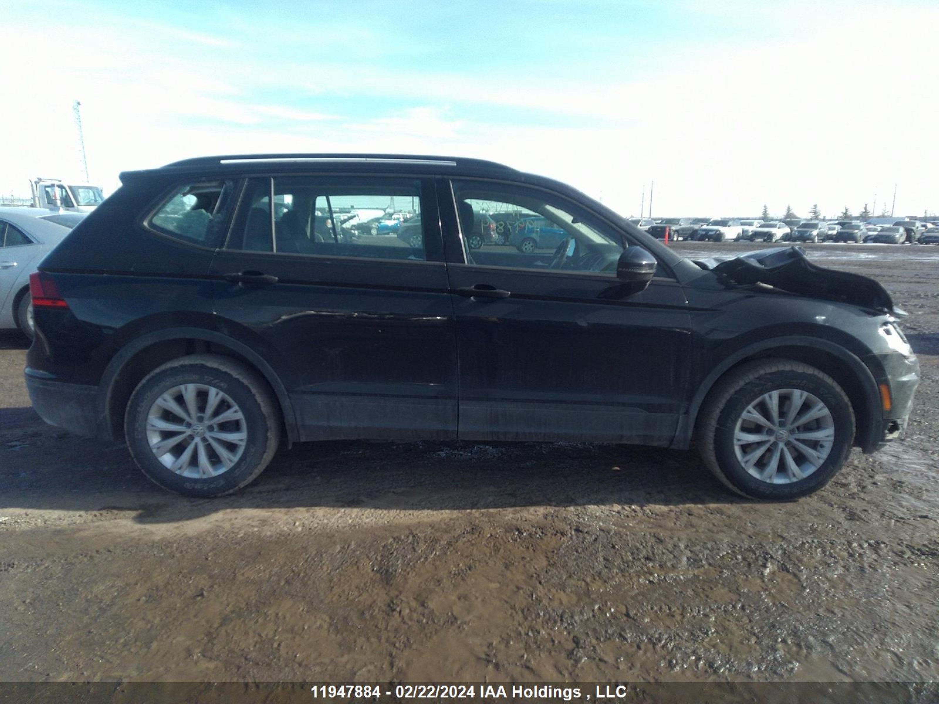 Photo 13 VIN: 3VV0B7AX7LM075487 - VOLKSWAGEN TIGUAN 