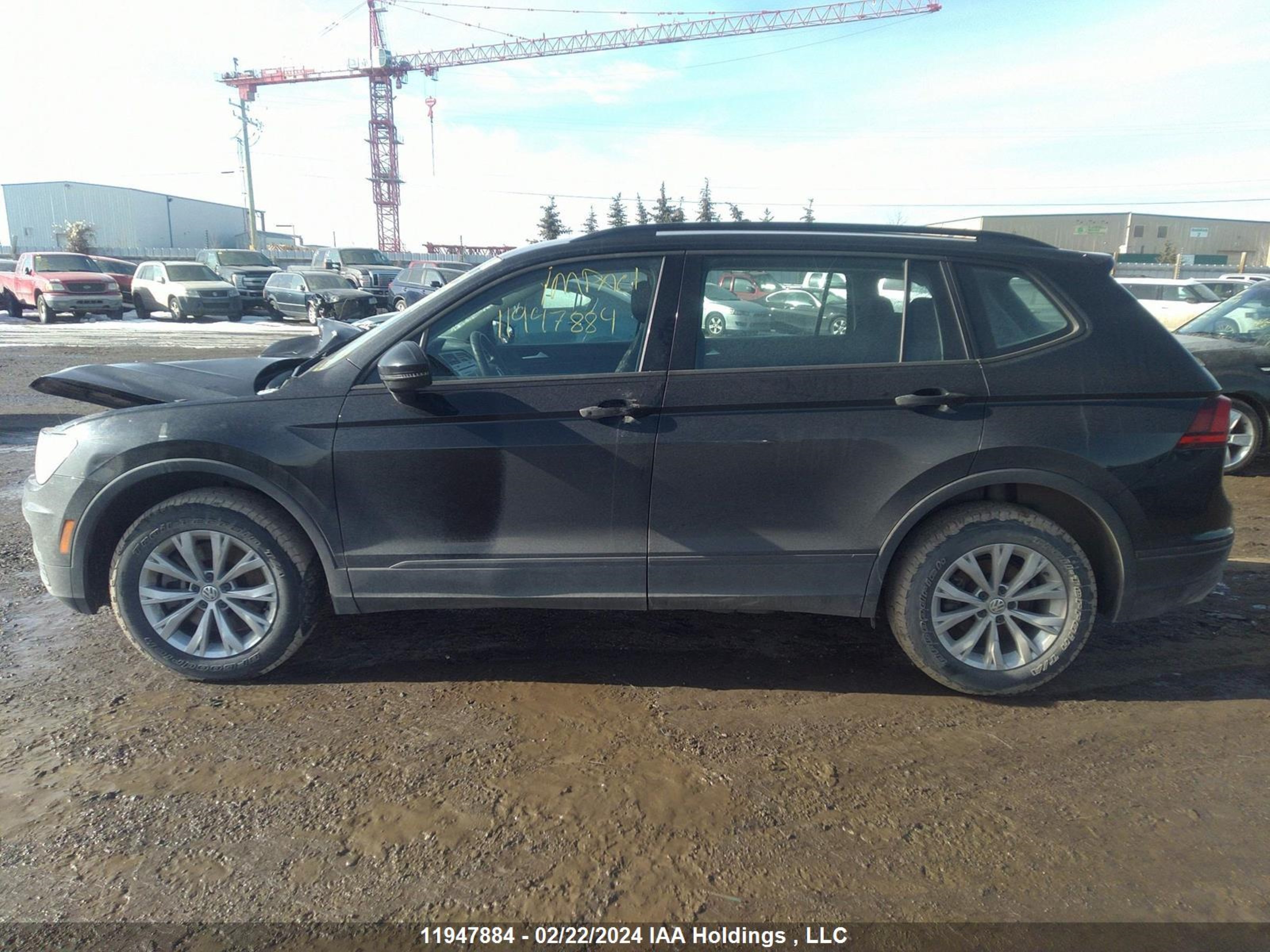 Photo 14 VIN: 3VV0B7AX7LM075487 - VOLKSWAGEN TIGUAN 