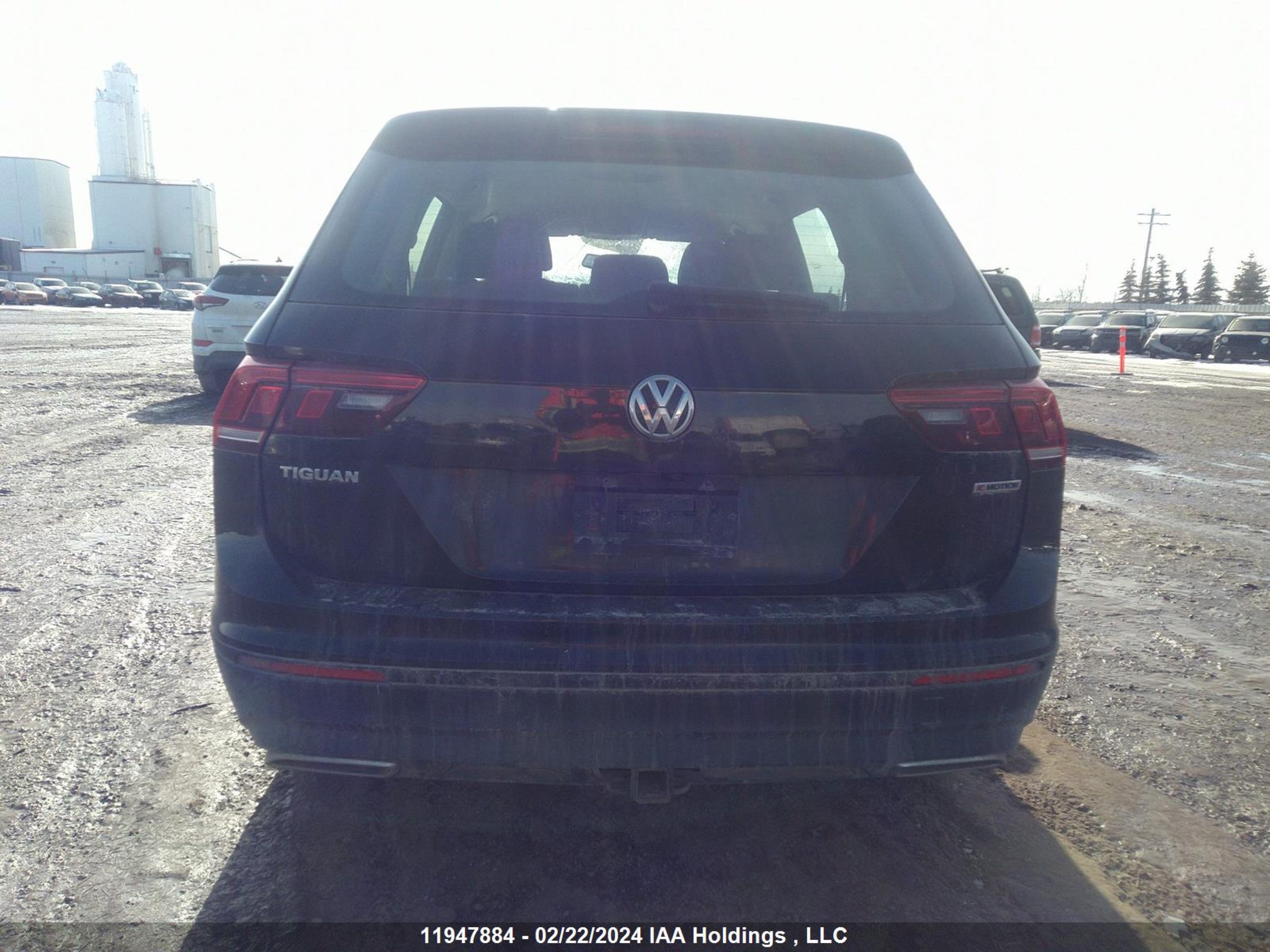 Photo 16 VIN: 3VV0B7AX7LM075487 - VOLKSWAGEN TIGUAN 