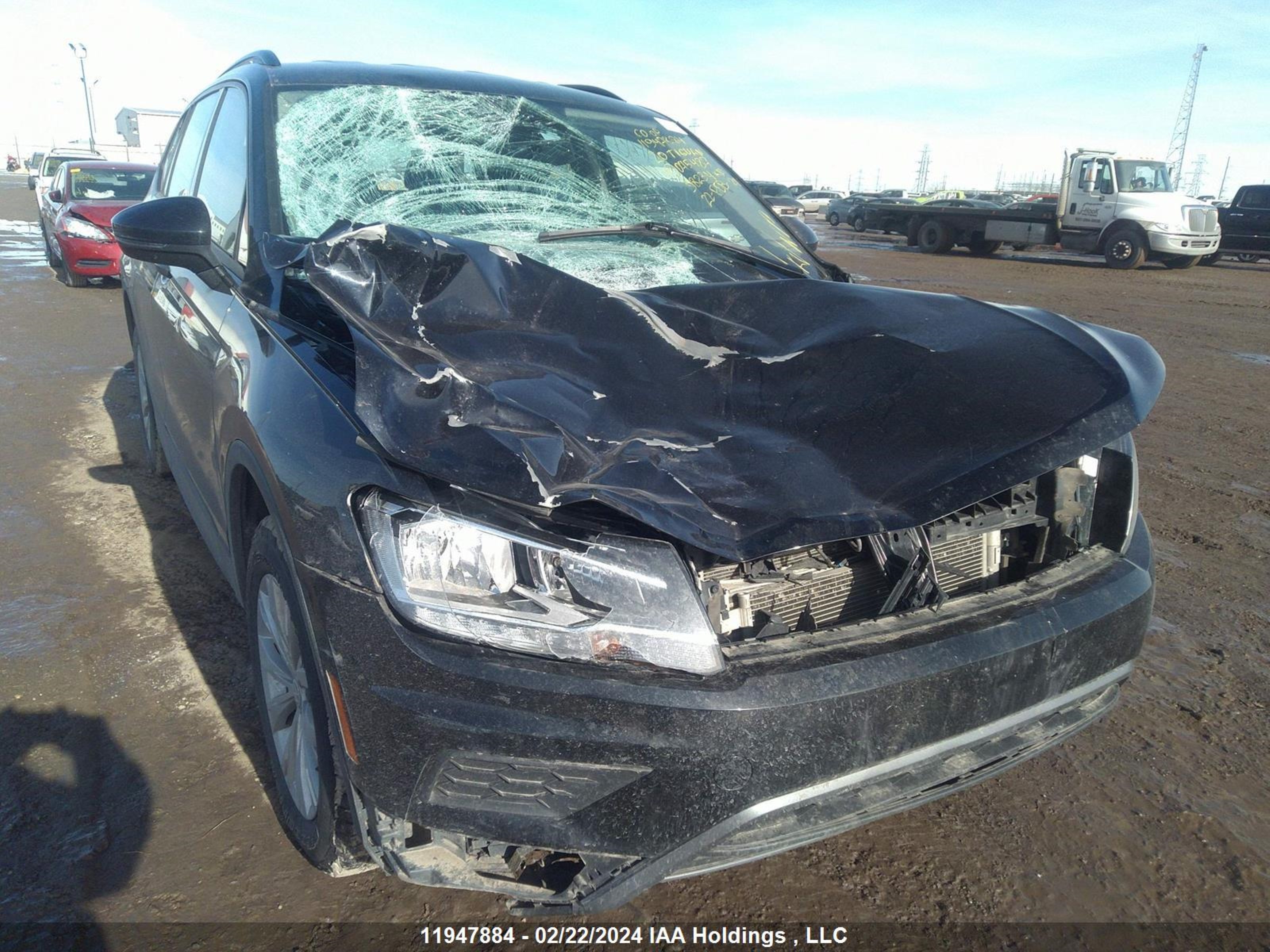 Photo 5 VIN: 3VV0B7AX7LM075487 - VOLKSWAGEN TIGUAN 