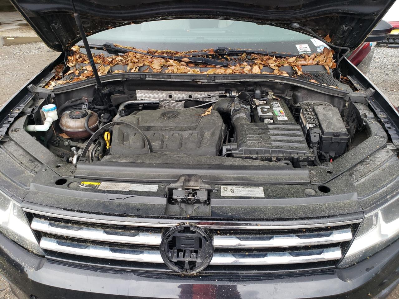 Photo 11 VIN: 3VV0B7AX8JM125049 - VOLKSWAGEN TIGUAN 