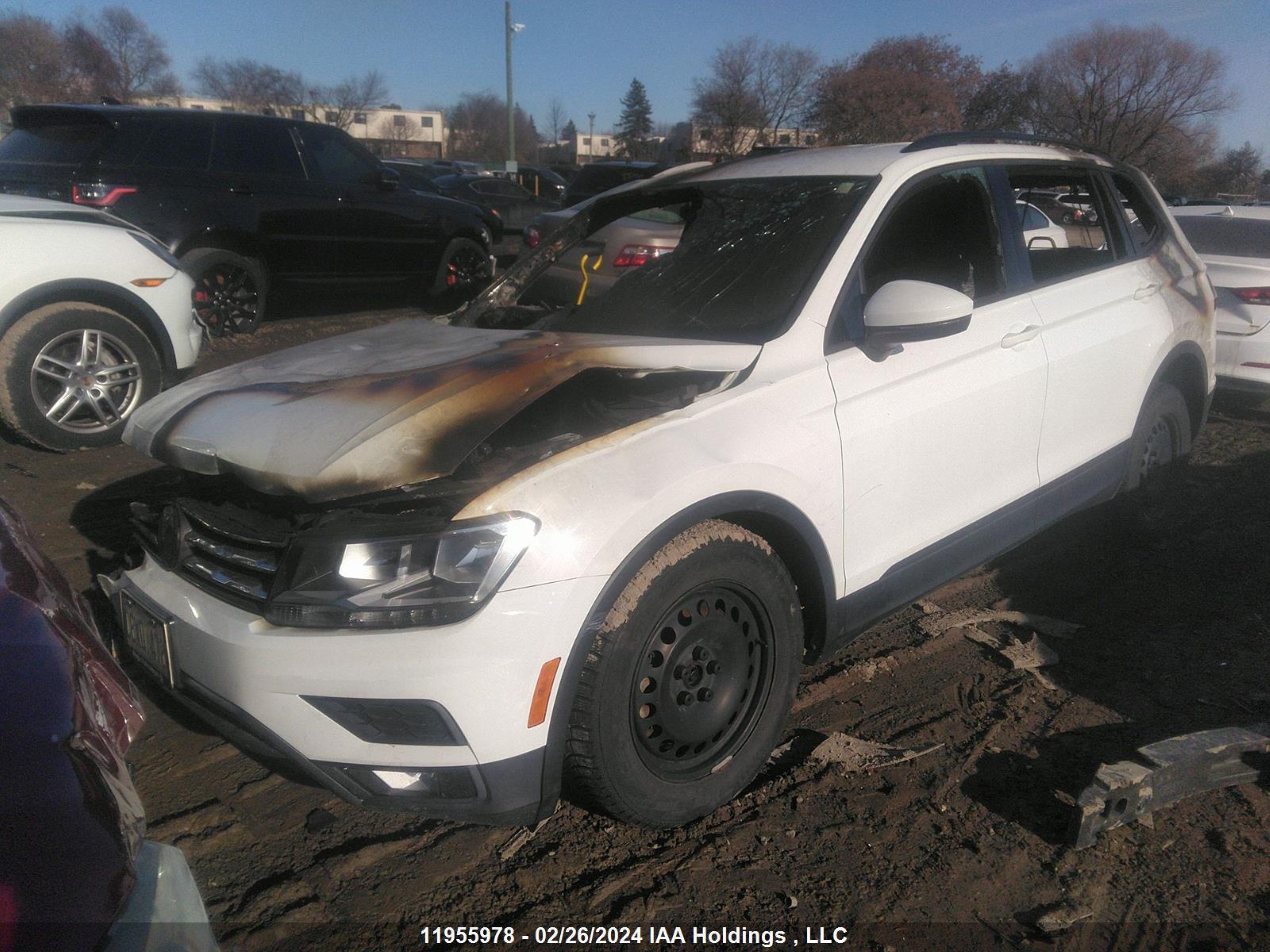 Photo 1 VIN: 3VV1B7AX5JM214579 - VOLKSWAGEN TIGUAN 