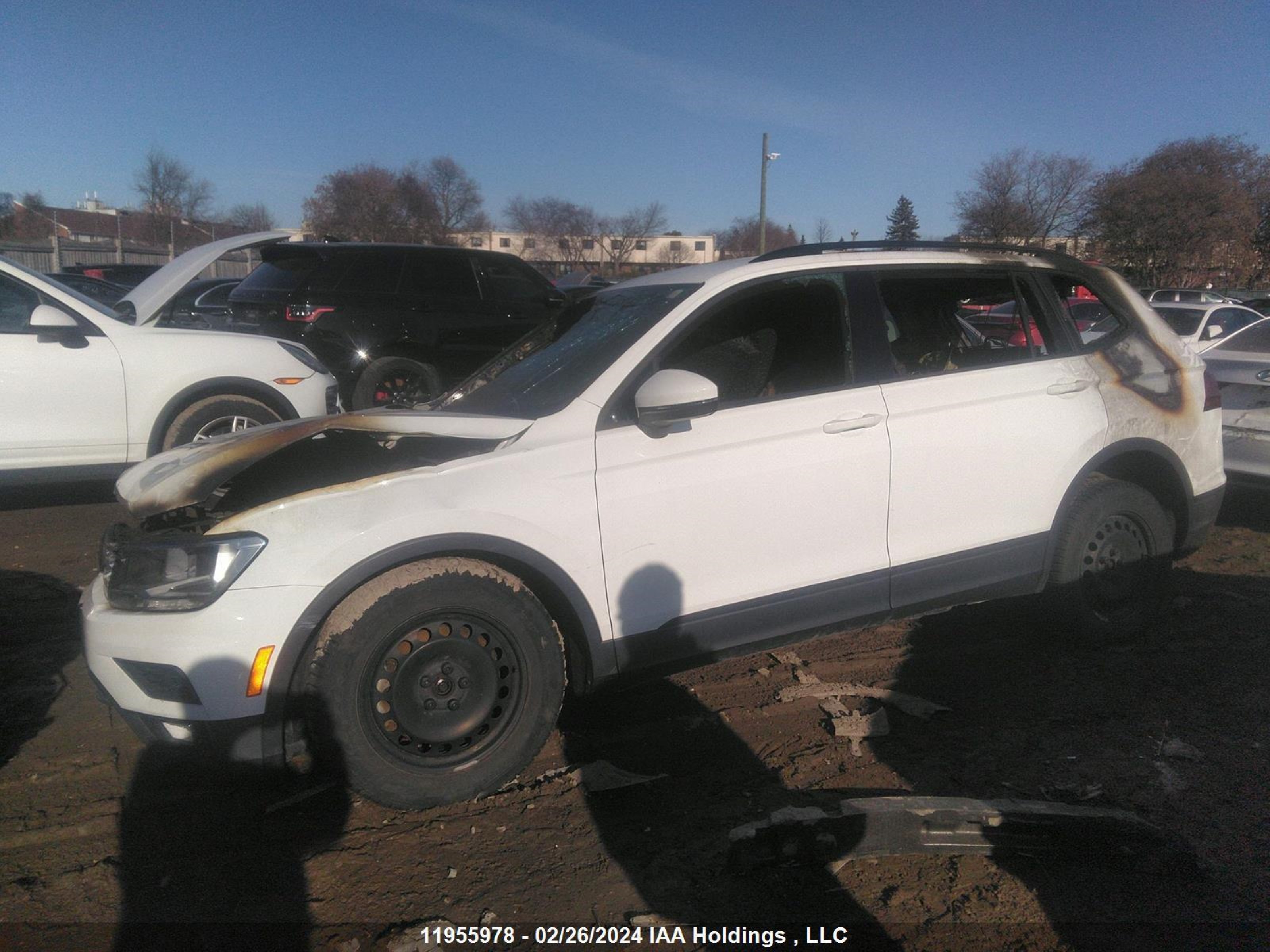 Photo 12 VIN: 3VV1B7AX5JM214579 - VOLKSWAGEN TIGUAN 