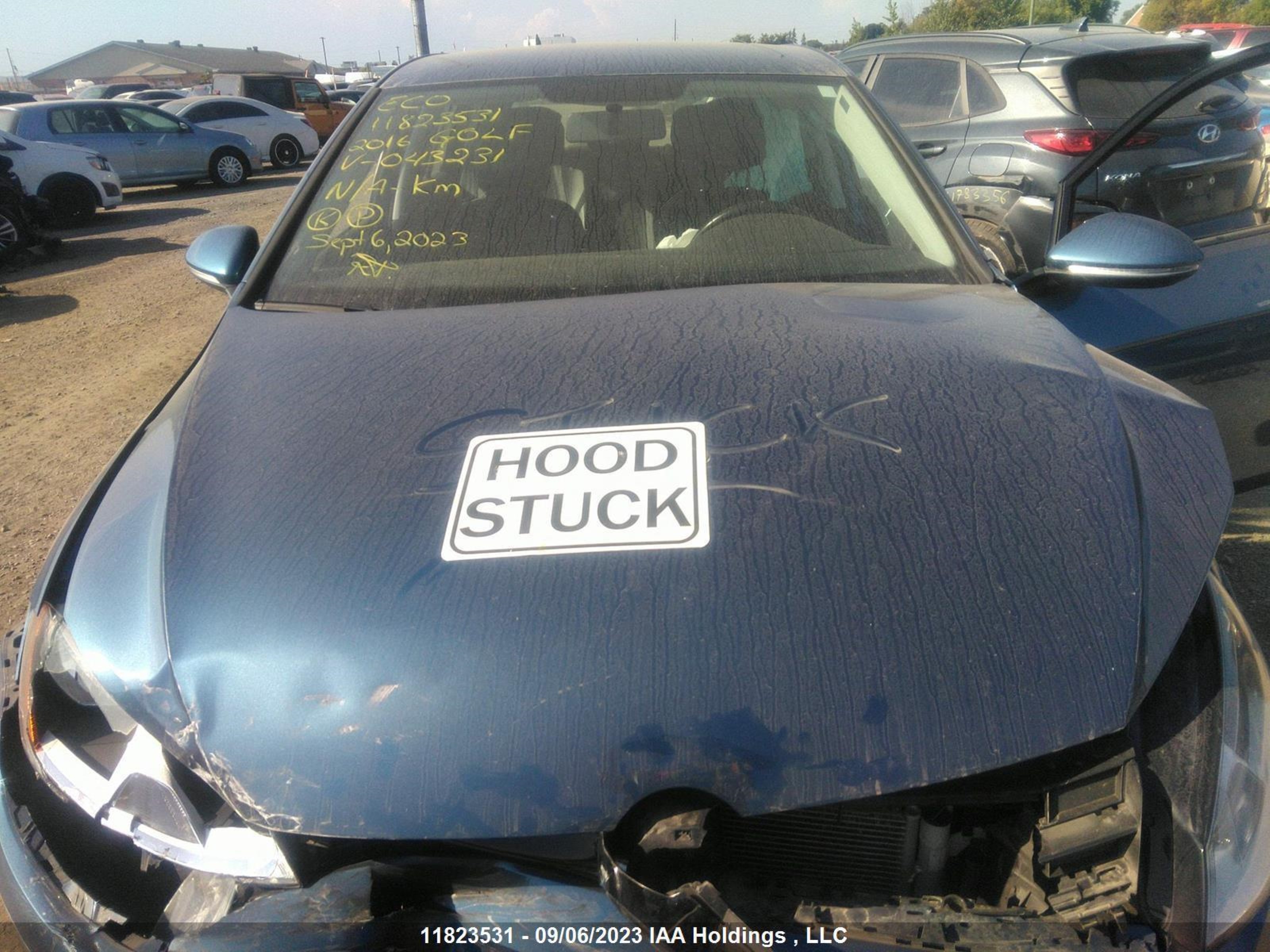 Photo 9 VIN: 3VW117AU1GM043231 - VOLKSWAGEN GOLF 