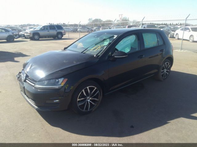 Photo 1 VIN: 3VW217AU1GM015143 - VOLKSWAGEN GOLF 