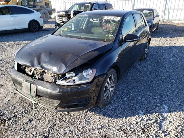 Photo 1 VIN: 3VW217AU1GM034341 - VOLKSWAGEN GOLF 