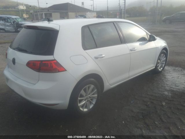 Photo 3 VIN: 3VW217AU7FM033645 - VOLKSWAGEN GOLF 