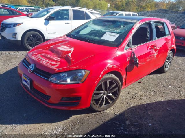 Photo 5 VIN: 3VW217AU9FM018516 - VOLKSWAGEN GOLF 