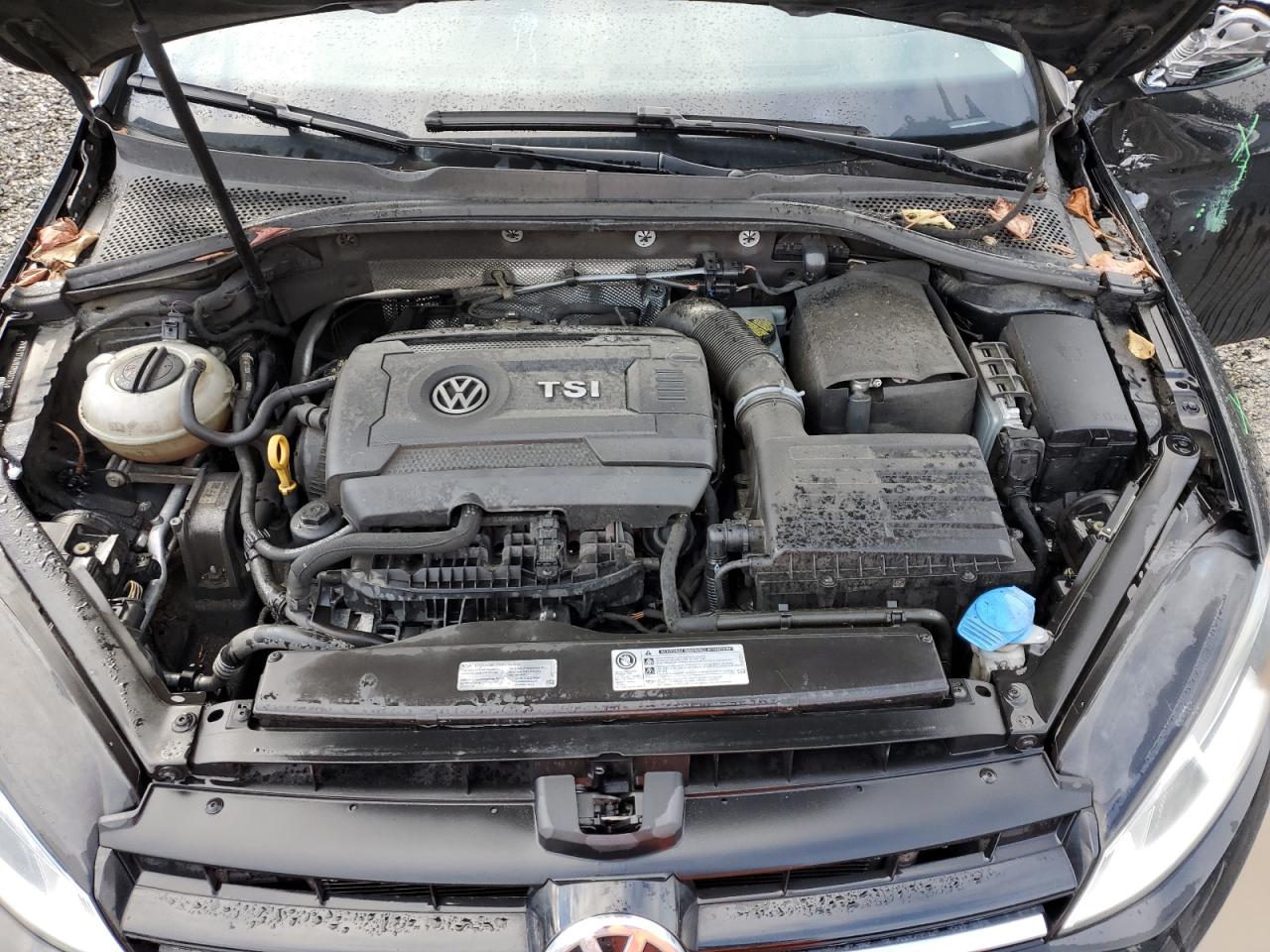 Photo 10 VIN: 3VW217AUXGM007946 - VOLKSWAGEN GOLF 