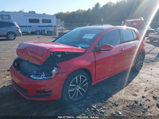 Photo 1 VIN: 3VW217AUXGM030739 - VOLKSWAGEN GOLF 