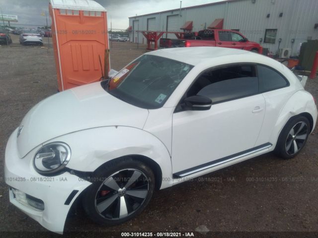 Photo 5 VIN: 3VW467AT7CM638018 - VOLKSWAGEN BEETLE 