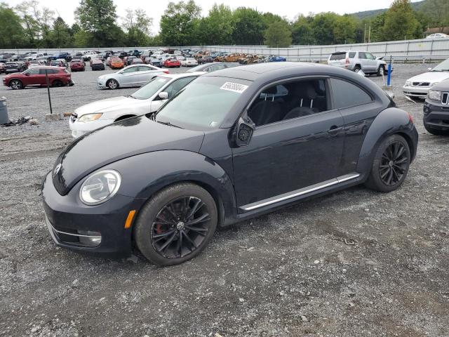 Photo 0 VIN: 3VW4A7AT8DM630932 - VOLKSWAGEN NEW BEETLE 