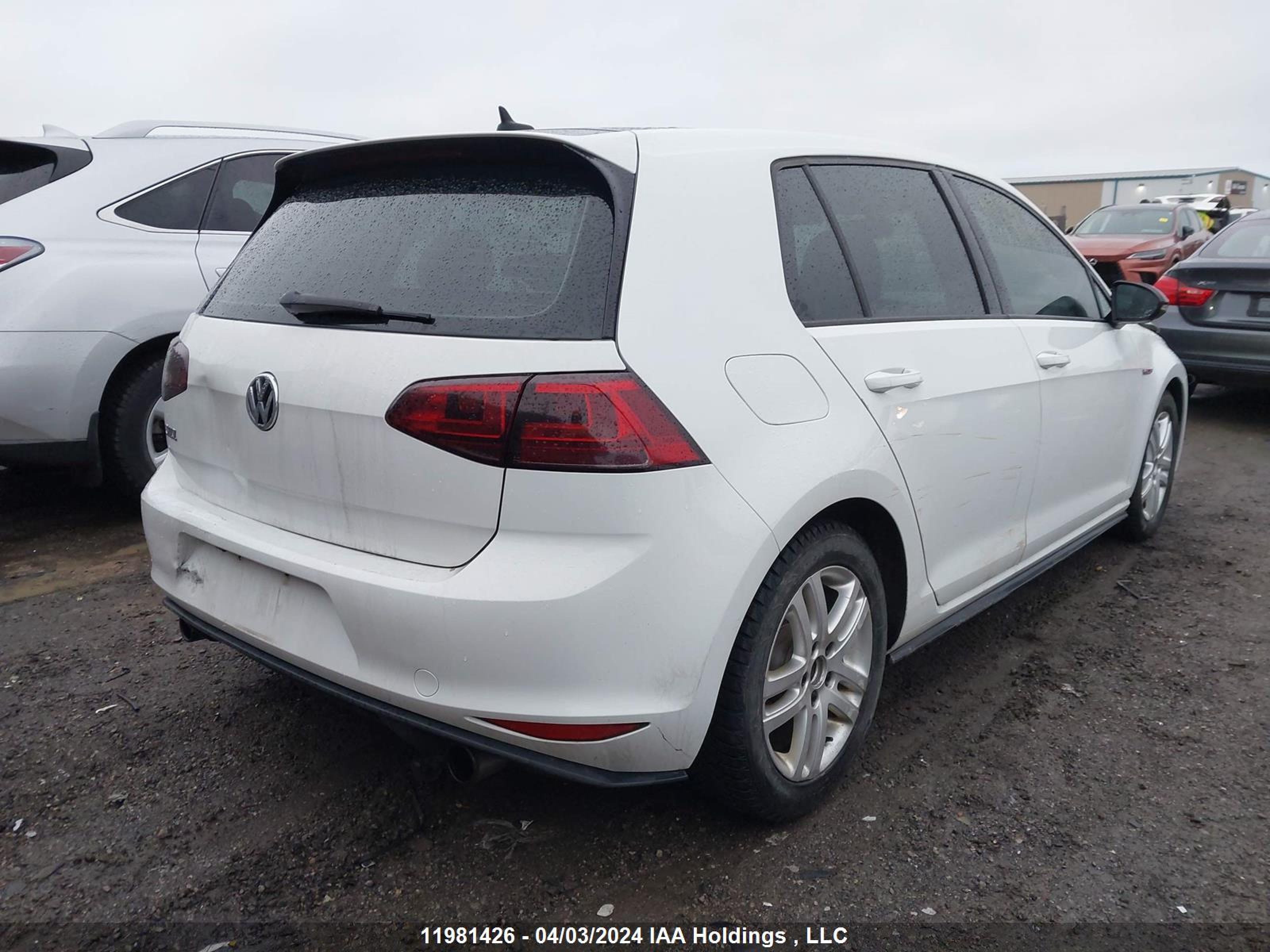 Photo 3 VIN: 3VW4T7AUXGM044417 - VOLKSWAGEN GTI 