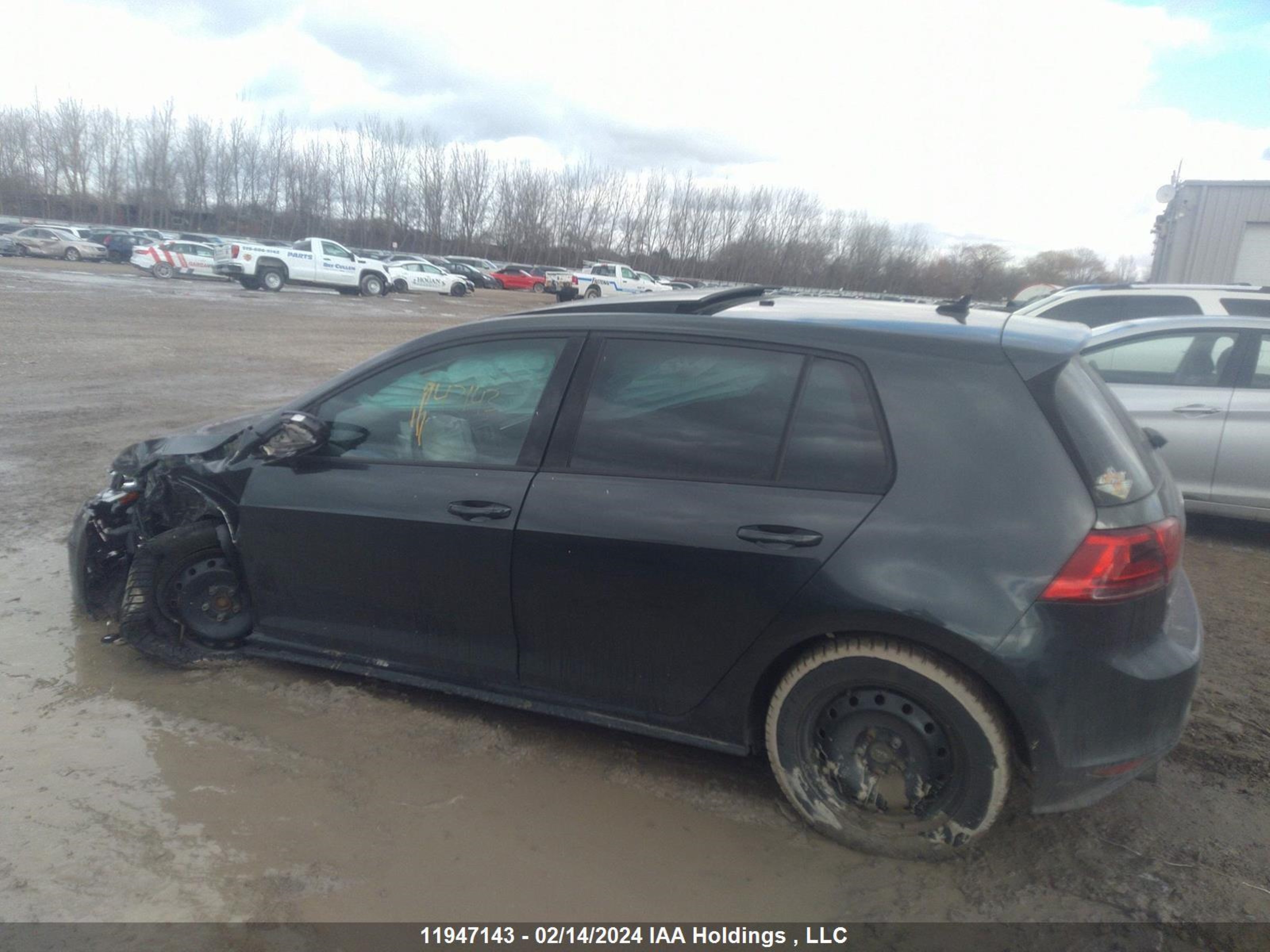 Photo 13 VIN: 3VW5T7AU3FM005395 - VOLKSWAGEN GOLF 