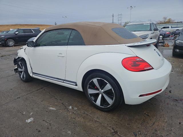 Photo 1 VIN: 3VW7S7AT4DM827347 - VOLKSWAGEN BEETLE TUR 